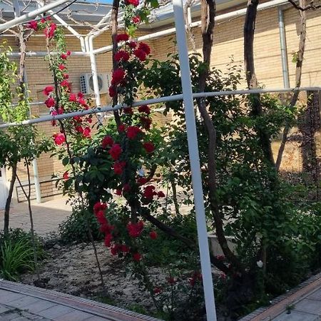 Hostel Muborak Σαμαρκάνδη Εξωτερικό φωτογραφία
