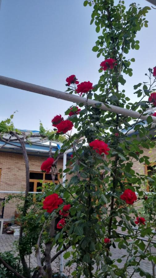 Hostel Muborak Σαμαρκάνδη Εξωτερικό φωτογραφία