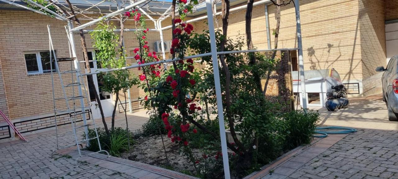 Hostel Muborak Σαμαρκάνδη Εξωτερικό φωτογραφία